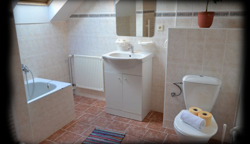 Penzion Lesní Pramen Pec pod Sněžkou - Čtyřlůžkový pokoj